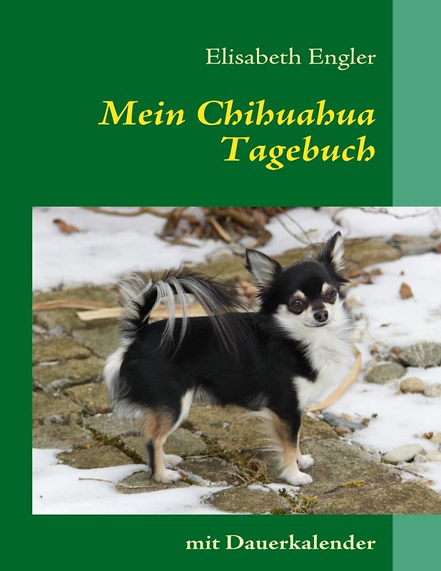 Mein Chihuahua