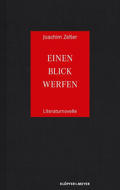 Einen Blick werfen. Literaturnovelle