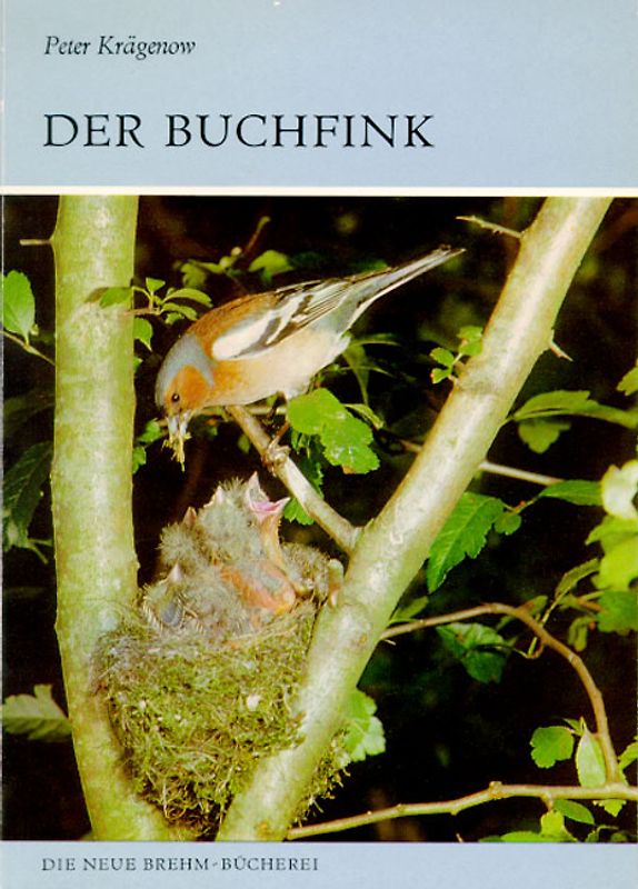 Der Buchfink