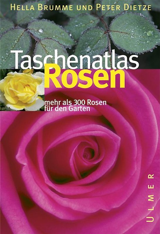 Taschenatlas Rosen
