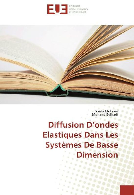 Diffusion D¿ondes Elastiques Dans Les Systèmes De Basse Dimension