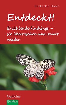 Entdeckt! Erzählende Findlinge – sie überraschen uns immer wieder
