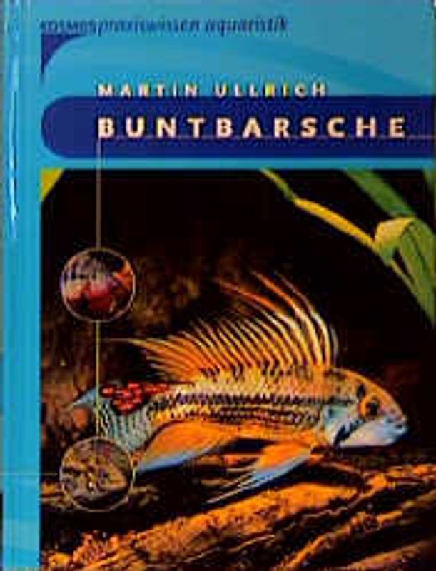 Buntbarsche