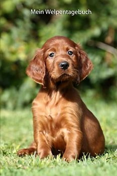 Mein Welpentagebuch: die ersten Monate mit meinem Irish Setter (Irish Setter - alle Bücher: Trainingstagebuch, Krankenakte BARF Planer und Welpentagebuch, Band 3)