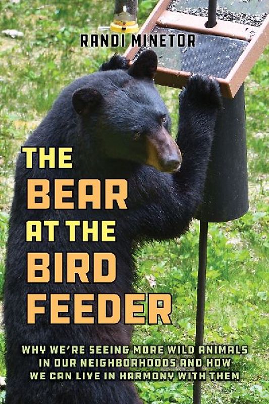 The Bear at the Bird Feeder