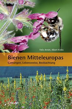 Bienen Mitteleuropas. Gattungen, Lebensweise, Beobachtung