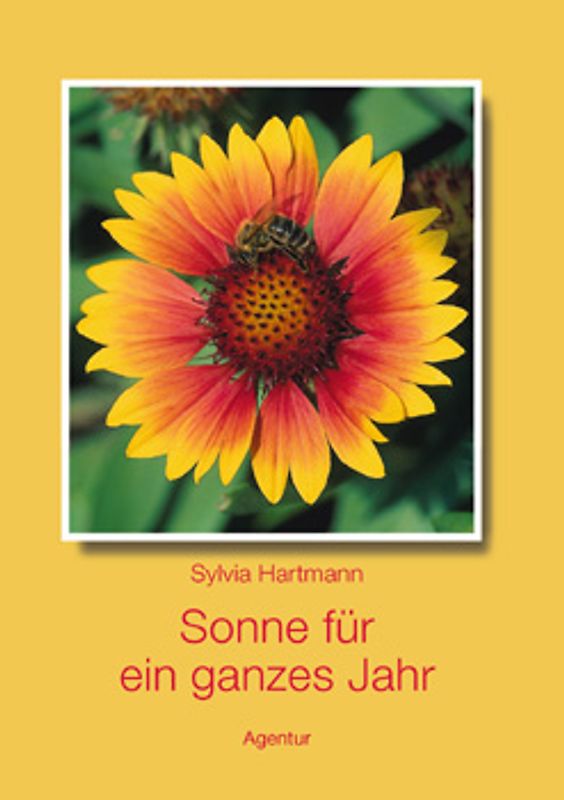 Sonne für ein ganzes Jahr