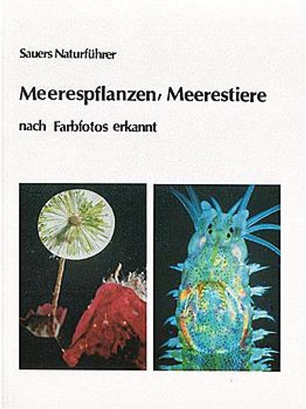 Meerespflanzen, Meerestiere - nach Farbfotos erkannt