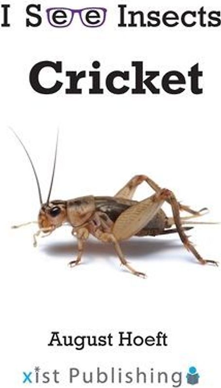 Cricket