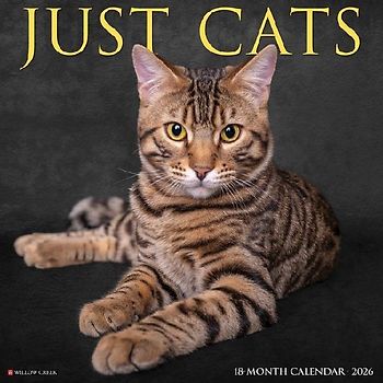 Cats 2026 12 X 12 Wall Calendar