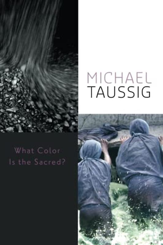 What Color Is the Sacred? - Taussig, Michael