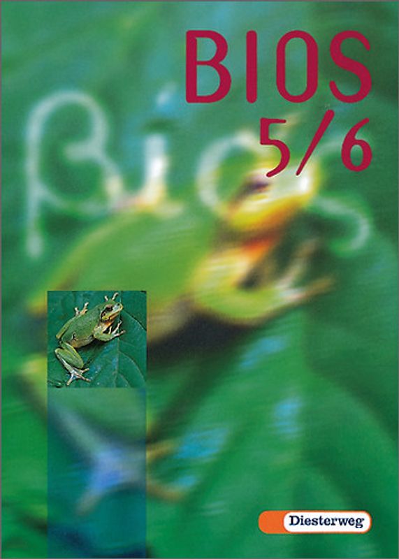 BIOS / BIOS Grundausgabe