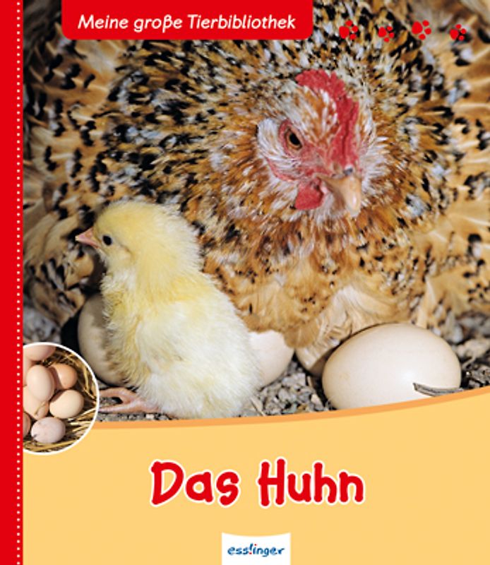 Meine große Tierbibliothek: Das Huhn