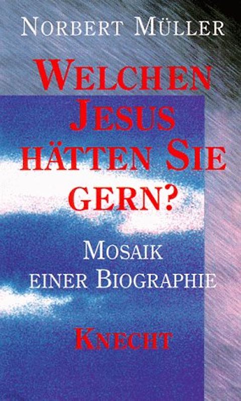 Welchen Jesus hätten Sie gern?. Mosaik einer Biographie