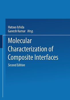 Molecular Characterization of Composite Interfaces