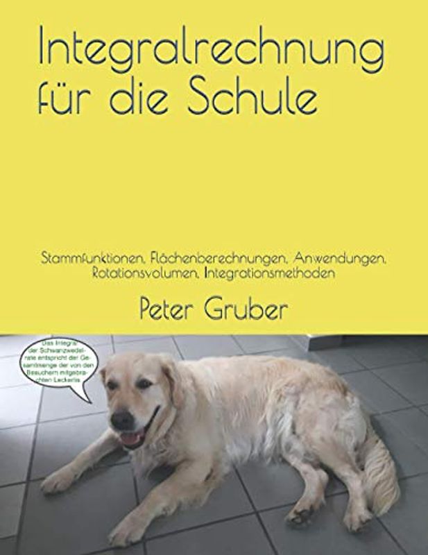 Integralrechnung für die Schule: Stammfunktionen, Flächenberechnungen, Anwendungen, Rotationsvolumen, Integrationsmethoden