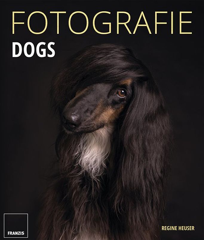 FOTOGRAFIE DOGS