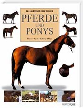Das grosse Buch der Pferde & Ponys
