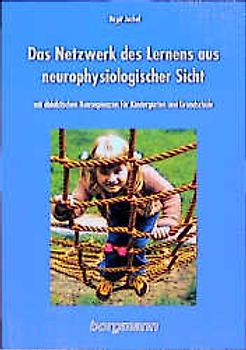 Das Netzwerk des Lernens aus neurophysiologischer Sicht