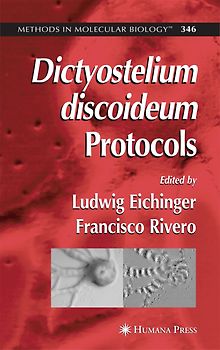 Dictyostelium discoideum Protocols