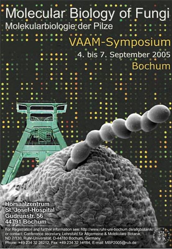 Molecular biology of fungi
