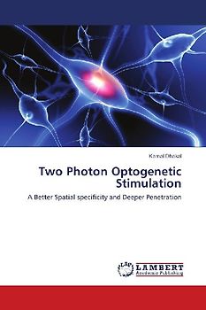 Two Photon Optogenetic Stimulation