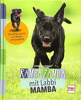 Rambazamba mit Labbi Mamba