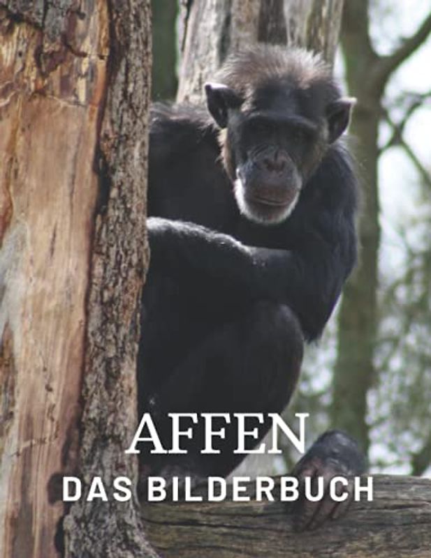 Affen: Die Fotografie von Affen für Kinder, Demenz, Senioren und Alzheimer, Affenliebhaber (Bilderbuch).