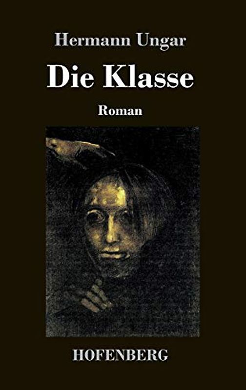 Die Klasse: Roman