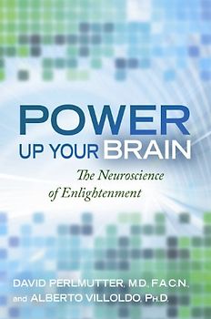 Power Up Your Brain - Perlmutter, David