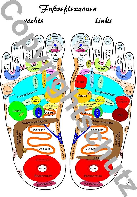Reflexzonenübersicht - Füße