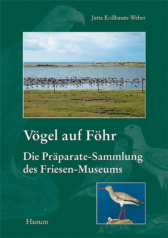 Vögel auf Föhr