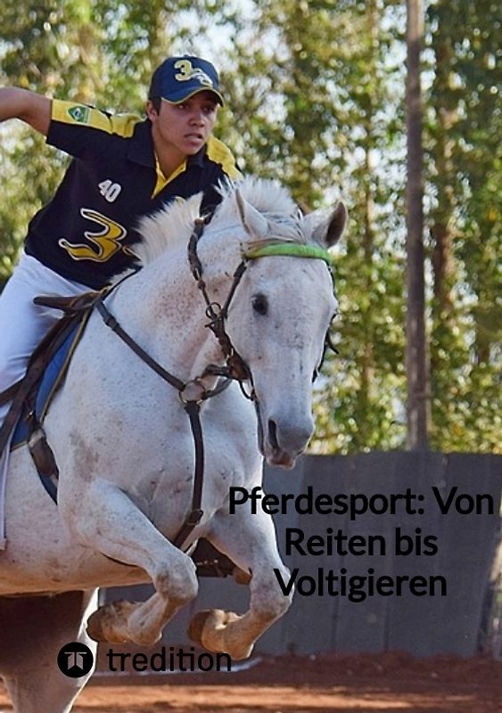 Pferdesport: Von Reiten bis Voltigieren
