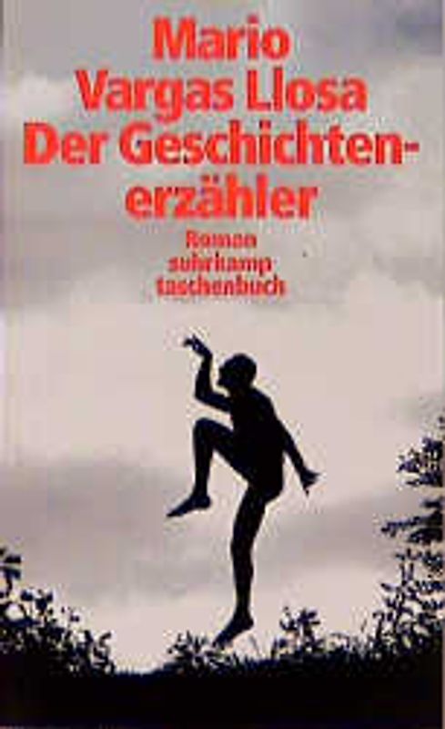 Der Geschichtenerzähler. Roman