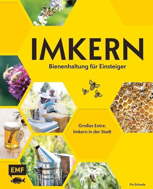Imkern – Bienenhaltung für Einsteiger