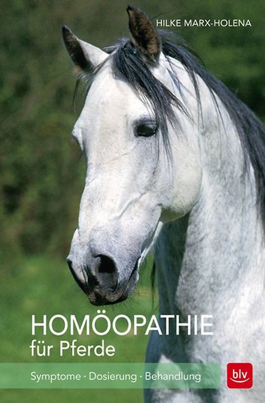 Homöopathie für Pferde