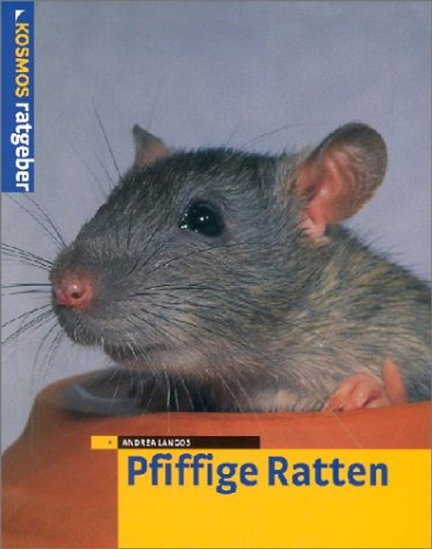 Pfifige Ratten