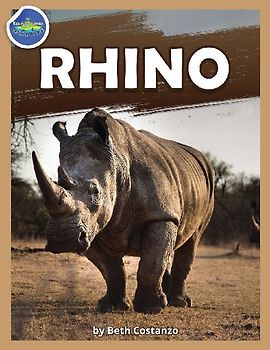 Rhino workbook ages 2-4