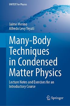 Many-Body Techniques in Condensed Matter Physics
