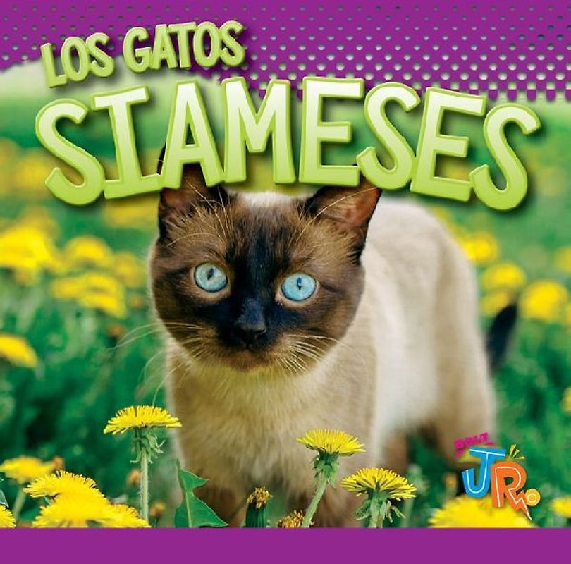 Los Gatos Siameses