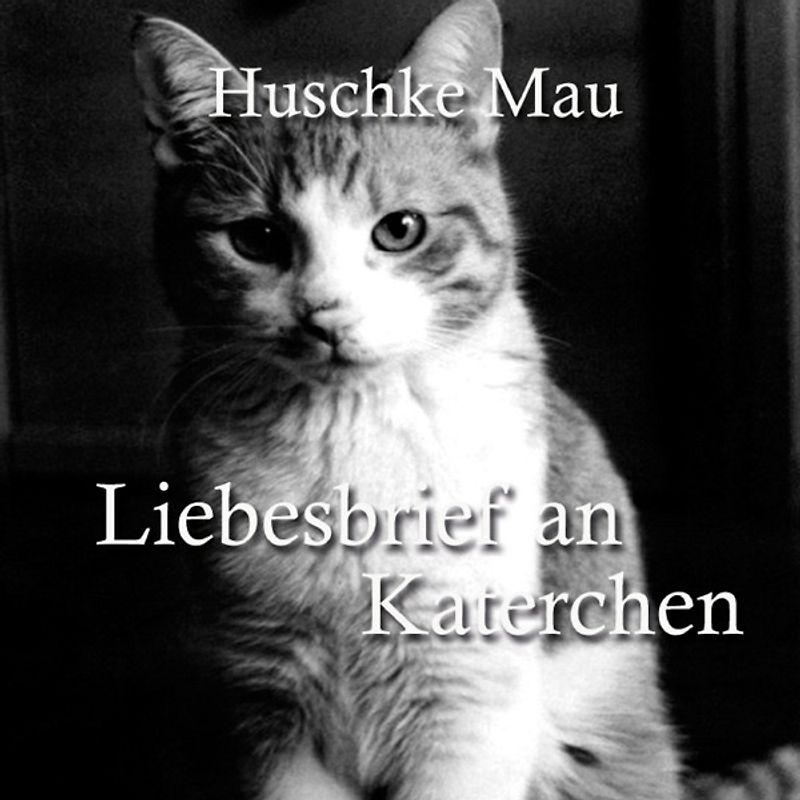 Liebesbrief an Katerchen