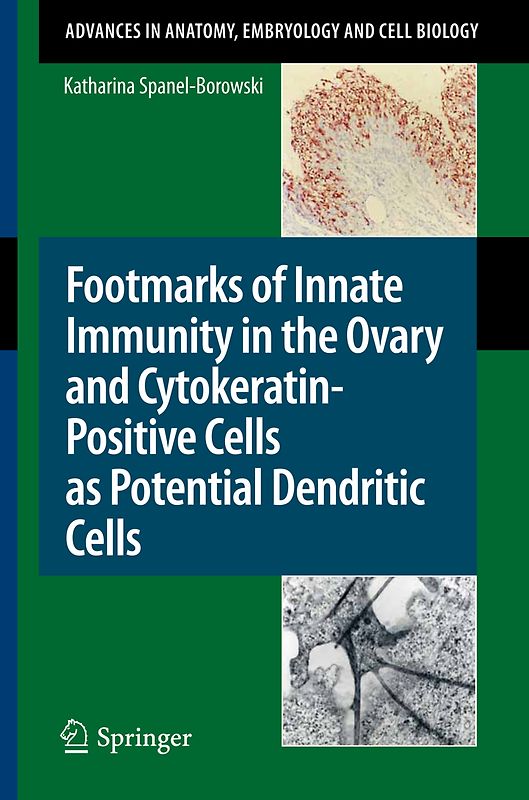 Footmarks of Innate Immunity in the Ovary and Cytokeratin-Positive Cells as Potential Dendritic Cells