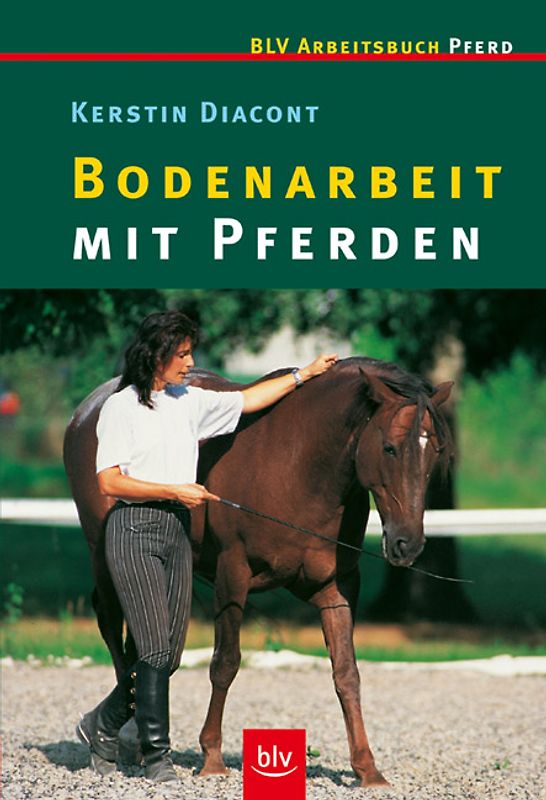 Bodenarbeit mit Pferden