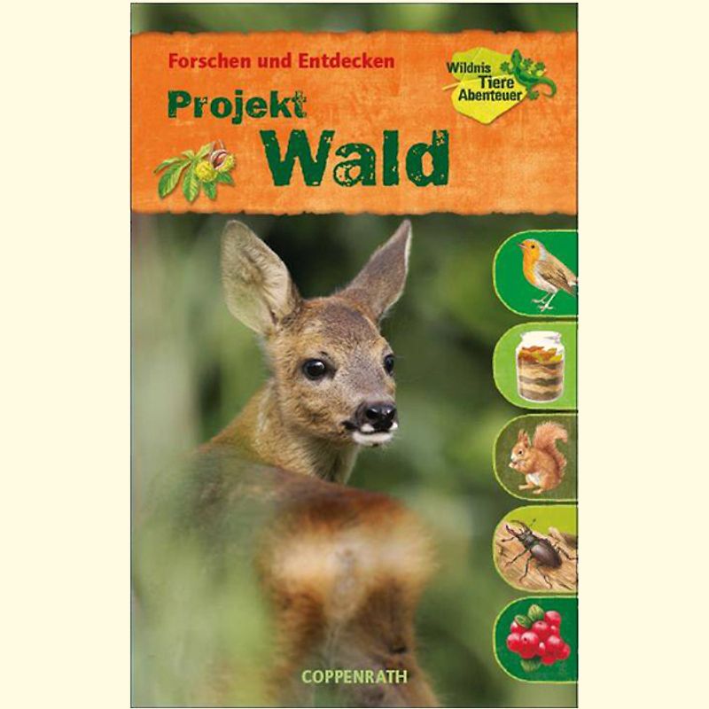 Forschen und Entdecken: Projekt Wald