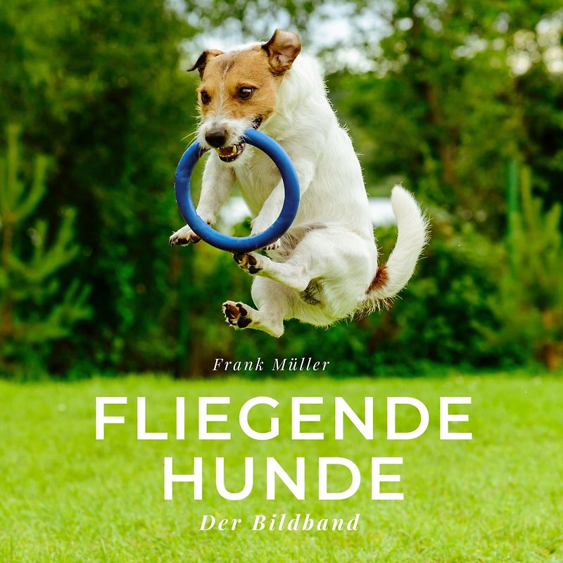 Fliegende Hunde