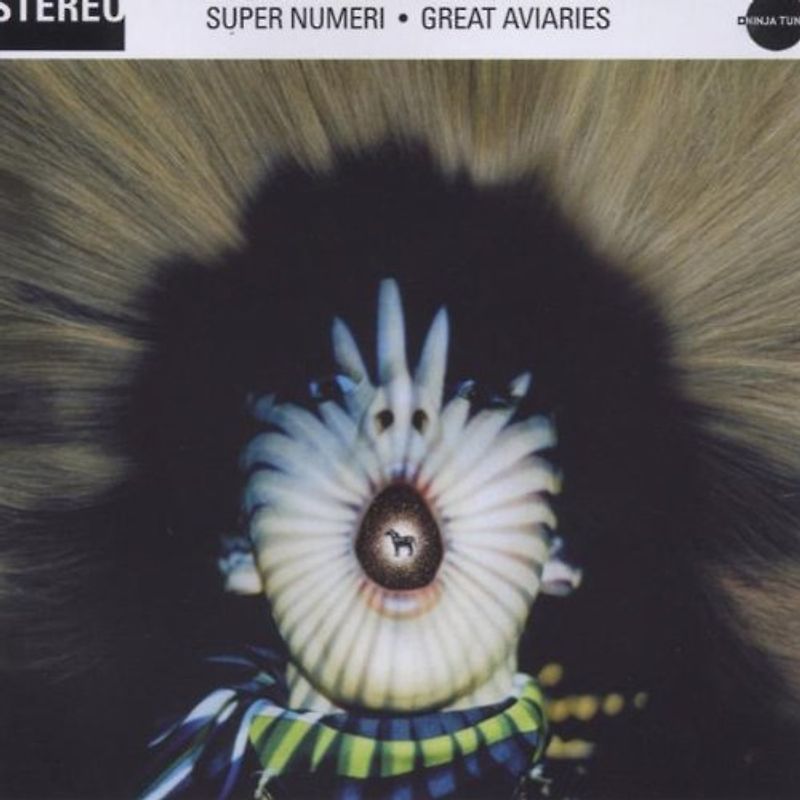 Super Numeri - Great Aviaries