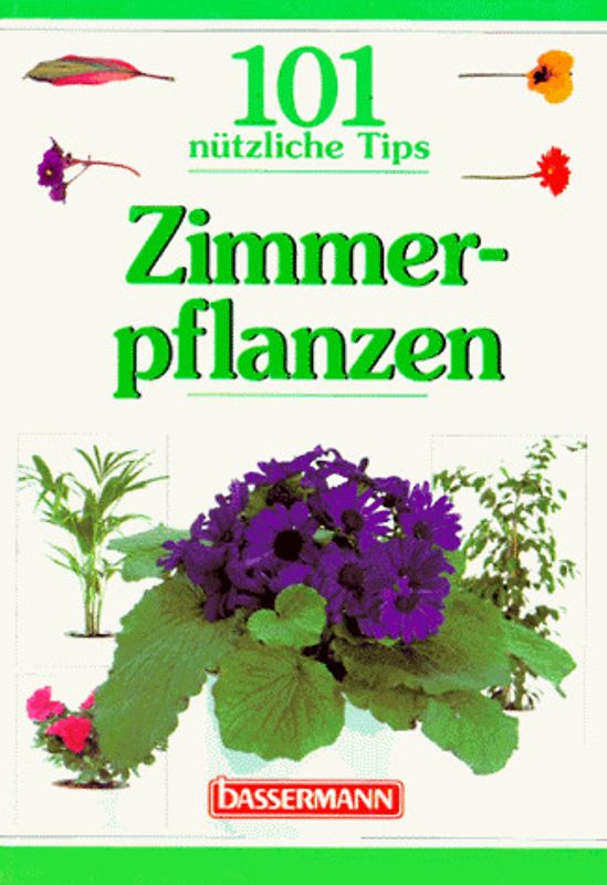 Zimmerpflanzen