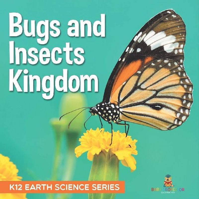 Bugs and Insects Kingdom | K12 Earth Science Series