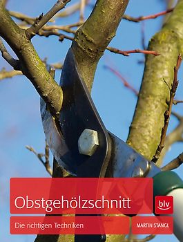 Obstgehölzschnitt