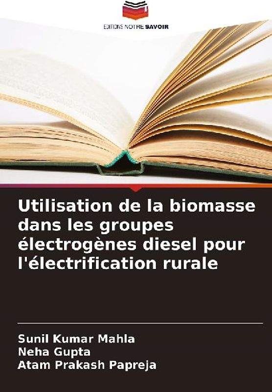 Utilisation de la biomasse dans les groupes électrogènes diesel pour l'électrification rurale